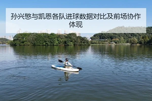 孙兴慜与凯恩各队进球数据对比及前场协作体现